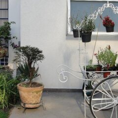 Hotel Casa Gonzalez Мехико бассейн фото 2