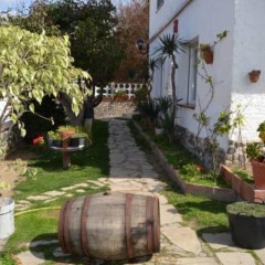 Отель Hostal Casa Torrent фото 4
