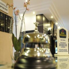Hotel Sumadija гостиничный бар