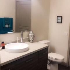 Отель Cozy 2 Bedroom Apartment США, Лас-Вегас - отзывы, цены и фото номеров - забронировать отель Cozy 2 Bedroom Apartment онлайн ванная