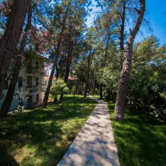 Hotel Greenland – All Inclusive фото 10