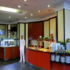 Aegean Park Hotel гостиничный бар