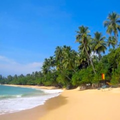 Отель Hibiscus Villa пляж