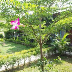 Отель Andawa Lanta House Ланта фото 12