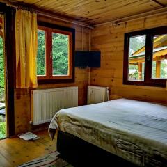 Ayder Elizan Hotel комната для гостей