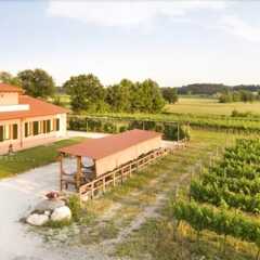 Отель Agriturismo Cascina Roveri Монцамбано фото 5