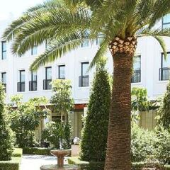 Отель The Westin Valencia Испания, Валенсия - отзывы, цены и фото номеров - забронировать отель The Westin Valencia онлайн фото 12