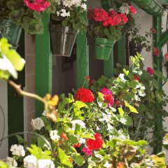 Отель Apartamentos Jerez Испания, Херес-де-ла-Фронтера - отзывы, цены и фото номеров - забронировать отель Apartamentos Jerez онлайн фото 21