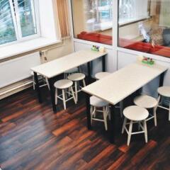 Clever Hostel Зеленогорск питание