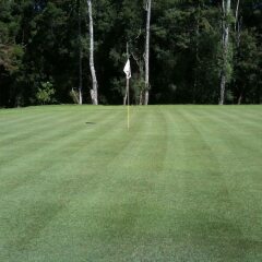 Отель Nuwara Eliya Golf Club спортивное сооружение