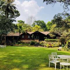 Отель Tree of Life Nature Resort