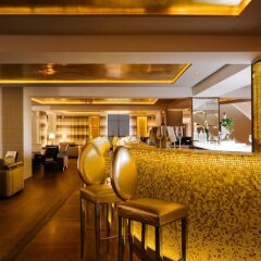 Hotel Du Golf гостиничный бар