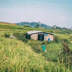 Отель Homestay Nepal Непал, Катманду - отзывы, цены и фото номеров - забронировать отель Homestay Nepal онлайн приотельная территория фото 2