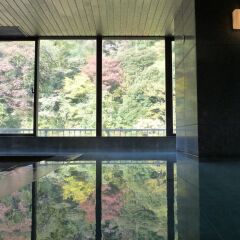Отель Hakone Pax Yoshino бассейн