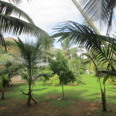 Raja Beach Hotel фото 7
