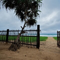Отель Roman Beach Хиккадува фото 16