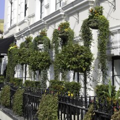 Отель Kings Cross Inn Лондон фото 7