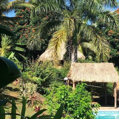 Отель Palmlea Farms Lodge & Bures Фиджи, Лабаса - отзывы, цены и фото номеров - забронировать отель Palmlea Farms Lodge & Bures онлайн балкон