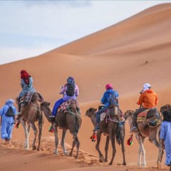 Отель Galaxy Desert Camp Merzouga Марокко, Мерзуга - отзывы, цены и фото номеров - забронировать отель Galaxy Desert Camp Merzouga онлайн