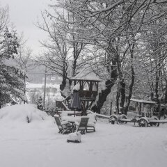 Abant Korudam Konak Pansiyon Турция, Болу - отзывы, цены и фото номеров - забронировать отель Abant Korudam Konak Pansiyon онлайн спортивное сооружение