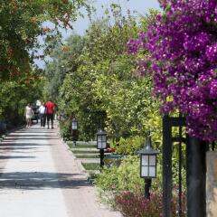 Hotel Ozlem Garden - All Inclusive фото 4