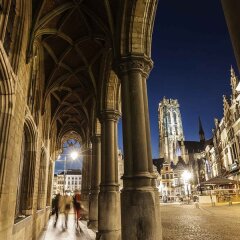 Отель Mercure Mechelen Vé Бельгия, Мехелен - отзывы, цены и фото номеров - забронировать отель Mercure Mechelen Vé онлайн фото 7