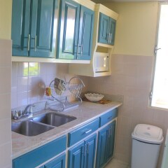 Отель Green Island Beach 43A - Turtle Tower Ямайка, Очо-Риос - отзывы, цены и фото номеров - забронировать отель Green Island Beach 43A - Turtle Tower онлайн фото 9