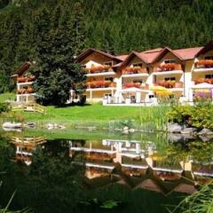 Отель Alphotel Tyrol Рачинес-Ратскингс фото 6