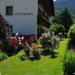 Отель Guntraun Парчинес