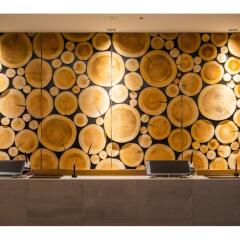 Отель SUPERHOTEL Premier GINZA Япония, Токио - отзывы, цены и фото номеров - забронировать отель SUPERHOTEL Premier GINZA онлайн сейф в номере