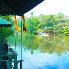 Отель Lagoon Garden Hotel Шри-Ланка, Берувела - отзывы, цены и фото номеров - забронировать отель Lagoon Garden Hotel онлайн приотельная территория