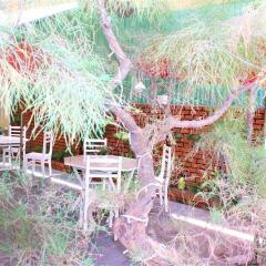 Отель Green Bud Homestay фото 10