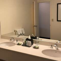Отель Washington Plaza Hotel США, Вашингтон - отзывы, цены и фото номеров - забронировать отель Washington Plaza Hotel онлайн ванная