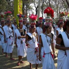 Отель Sauraha Boutique Resort Непал, Саураха - отзывы, цены и фото номеров - забронировать отель Sauraha Boutique Resort онлайн развлечения