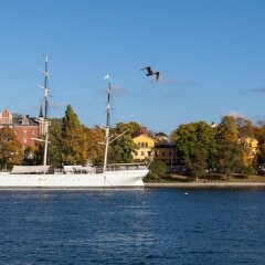 Отель STF af Chapman & Skeppsholmen Швеция, Стокгольм - 1 отзыв об отеле, цены и фото номеров - забронировать отель STF af Chapman & Skeppsholmen онлайн пляж