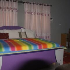 Отель Procare Suites and Resort Limited Нигерия, Эпе - отзывы, цены и фото номеров - забронировать отель Procare Suites and Resort Limited онлайн детские мероприятия