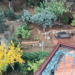 Отель Ipek Otel Kemer городской автобус