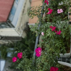 Апартаменты Au Coeur d'Hanoi Apartment