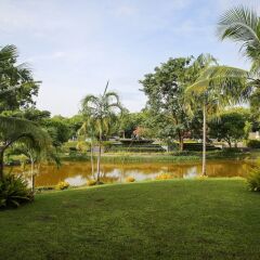 Отель 4 BR Private Villa in V49 Pattaya w/ Village Pool Паттайя приотельная территория