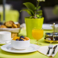 Отель Best Western Plus Cannes Riviera Hotel & Spa Франция, Канны - 1 отзыв об отеле, цены и фото номеров - забронировать отель Best Western Plus Cannes Riviera Hotel & Spa онлайн питание