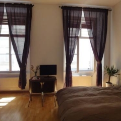 Апартаменты Vienna Old Town Apartments Вена комната для гостей фото 5