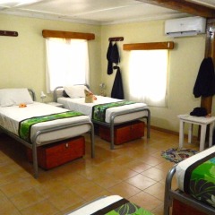 Отель Octopus Resort детские мероприятия