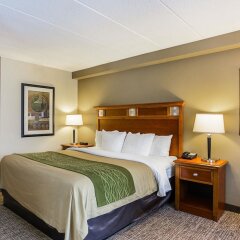 Отель Comfort Inn Washington Dulles International удобства в номере