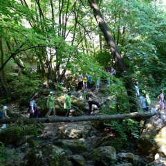Отель Tourist center Momina Krepost Велико Тырново приотельная территория