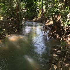 Отель Water Garden Krabi Resort бассейн