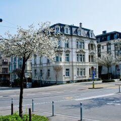 Отель Seestrasse Apartments Drei Koenige Швейцария, Цюрих - 1 отзыв об отеле, цены и фото номеров - забронировать отель Seestrasse Apartments Drei Koenige онлайн фото 2