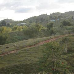 Отель Seacrest Resort