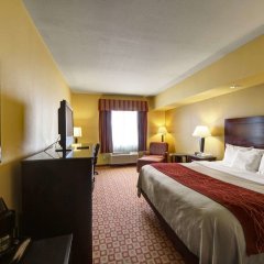 Comfort Inn & Suites Donna near I-2 in Donna, United States of America from 109$, photos, reviews - zenhotels.com guestroom