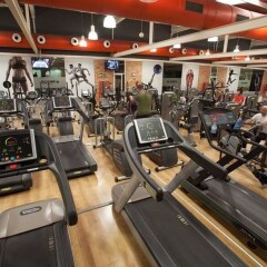 Отель Olympia Hotel Events & Spa Испания, Альборайя - 2 отзыва об отеле, цены и фото номеров - забронировать отель Olympia Hotel Events & Spa онлайн фитнесс-зал фото 4