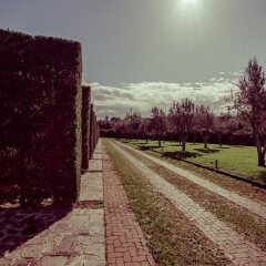 All Ways Garden Hotel & Leisure фото 9